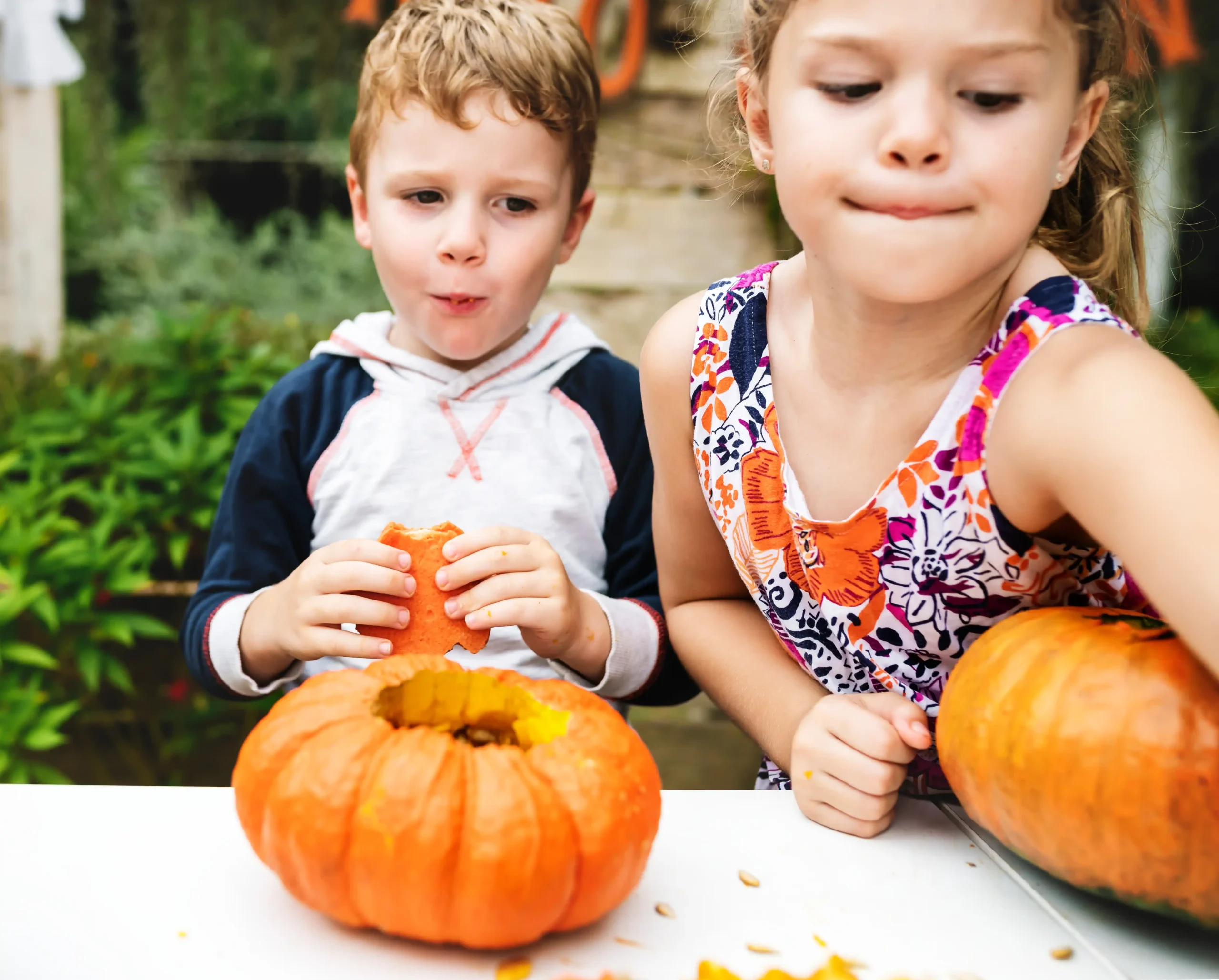 Our Favorite Fall Sensory Activities